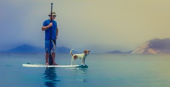 man wearing blue shirt standing on white surfboard