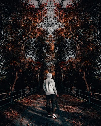 Man Wearing Gray Hoodie Standing Under Trees