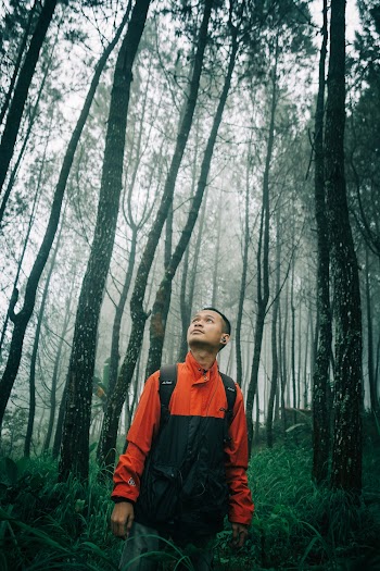 Man Wearing Orange and Black Jacket Standing Beside Trees