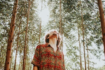 Man Wearing Orange and Green Shirt Looking Up