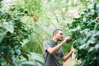 Man Wearing Polo Shirt Standing Near Green Leafed Plant