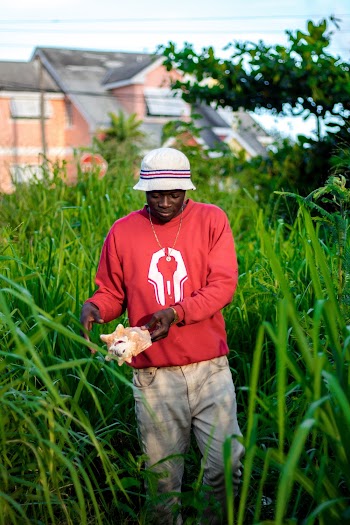 Man Wearing Red and White Long-sleeved Shirt and Beige Pants Walking on Grass Field