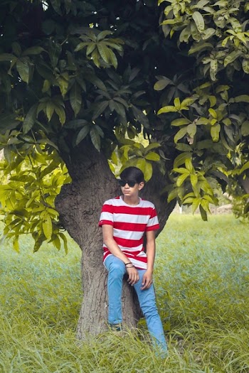 Man Wearing White and Red Stripe Crew-neck Shirt, Blue Denim Jeans, and Black Wayfarer-style Sunglasses Sitting Tree