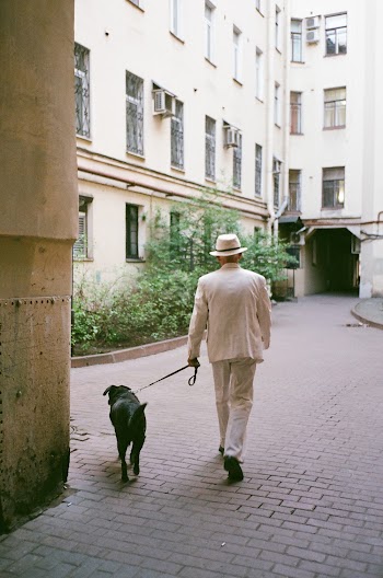 Man Wearing White Suit Walking with a Dog