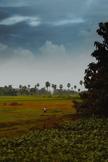 Man Wearing White Top Walking on Grass Field