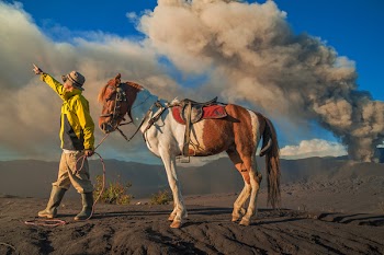 Man Wearing Yellow Jacket and Beige Pants Holding White and Brown Horse