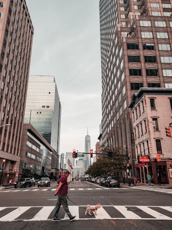 Man with a pug crossing a city street