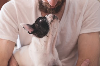Man with a puppy