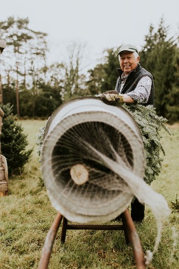 Man wrapping Christmas tree using | Free Photo - rawpixel