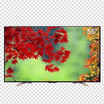 Manabang Shan Zhongshan Fragrant Hills Park Jinzi Mountain Maple leaf, LCD TV transparent background PNG clipart