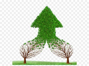 Management accounting Management accounting Business Mergers and acquisitions - Beautiful green material 