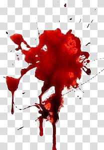 Manchas de sangre, red paint splatter illustration transparent background PNG clipart
