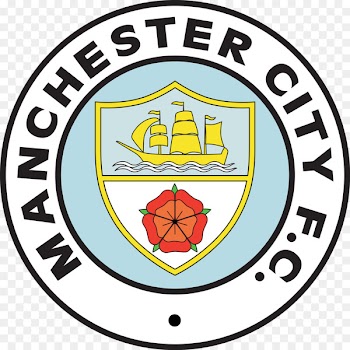 Manchester City F.C. City of Manchester Stadium 2011 FA Cup Final Premier League Manchester United F.C. - palace 