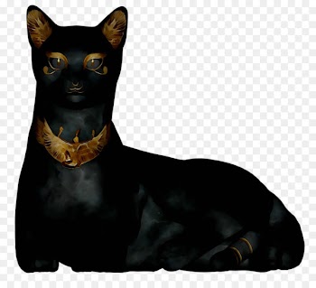 Manchester Terrier Cat Whiskers Mumbai Razas nativas vulnerables -  