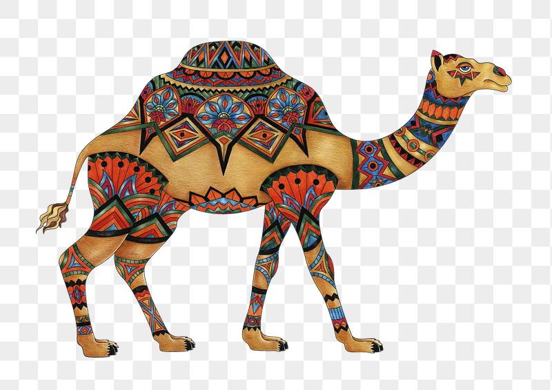 Mandala camel png animal sticker, | Free PNG - rawpixel