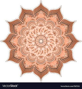 Mandala mehendi vector image