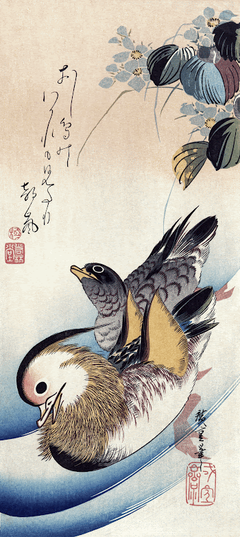 Mandarin ducks (1830-1858) vintage woodcut | Free Photo Illustration - rawpixel