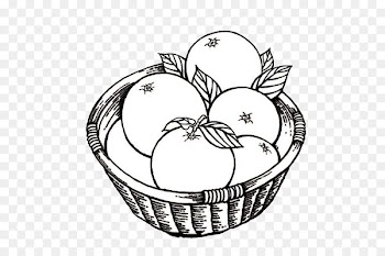 Mandarin orange Fruit Stroke Child Yuukou mandarin - grado 