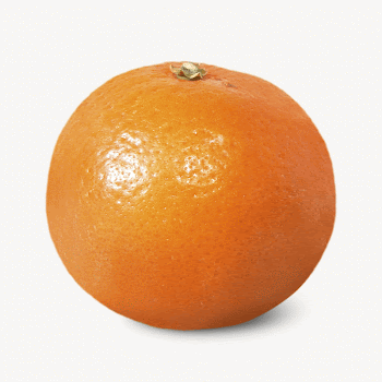 Mandarin orange, isolated fruit image | Free Photo - rawpixel