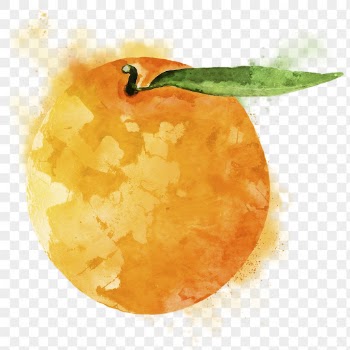 Mandarin orange png clipart, fruit | Free PNG - rawpixel