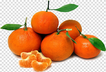 Mandarin Orange PNG Picture