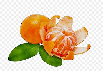 Mandarin orange Tangerine Grapefruit Tangelo -  
