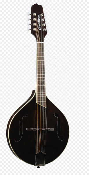 Mandolin, Larsons Creations Guitars Mandolins, Acoustic Guitar, String Instrument, Musical Instrument PNG