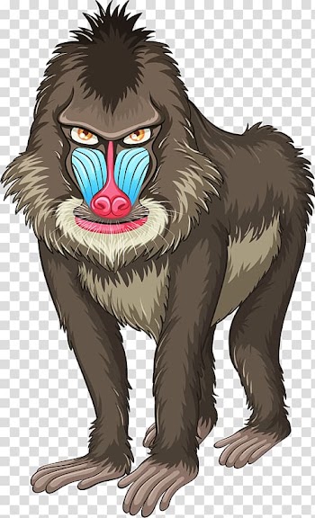 Mandrill Euclidean Illustration, Strange gorilla transparent background PNG clipart
