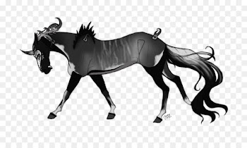 Mane Foal Mustang Mare Stallion -  