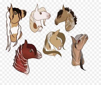 Mane Mustang Donkey Rein Pack animal - mustang 