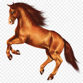 Mane, Mustang, Pony, Horse, Sorrel PNG
