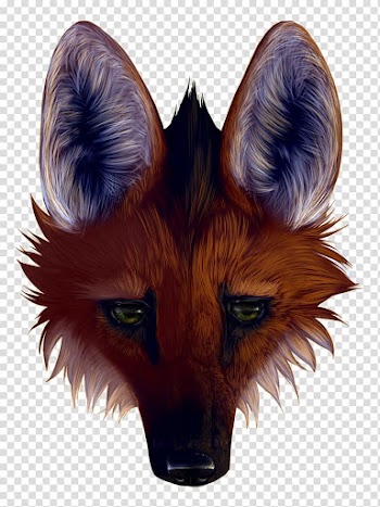 Maned wolf Wolfdog Face Animal, wolf transparent background PNG clipart