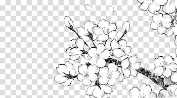 Manga Flowers ColdLove, black and white flower illustration transparent background PNG clipart