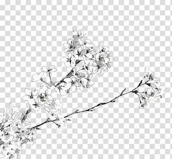 Manga Flowers ColdLove, black and white flowers drawing transparent background PNG clipart