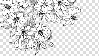 Manga Flowers ColdLove, white flower art transparent background PNG clipart