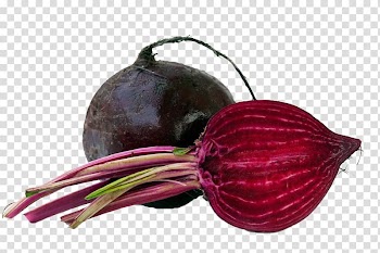 Mangelwurzel Unser Bioladen, fairwurzelt in der Region, Purple beet transparent background PNG clipart