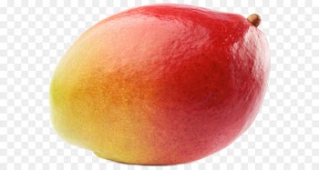 Mango Clip art - Large Mango PNG Clipart 