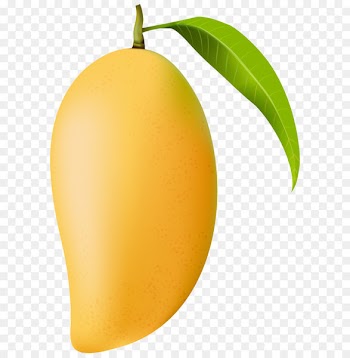 Mango Clip art - Mango PNG Clip Art Image 