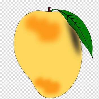 Mango Devanagari Fruit Hindi , Big Log transparent background PNG clipart