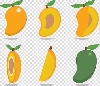 Mango Euclidean , Sweet fresh tropical mango fruit transparent background PNG clipart