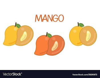 mango flat icon set set of