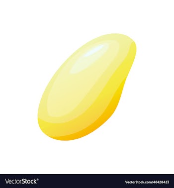 mango fruit icon