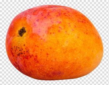 Mango Gonorrhea Fruit, Mango transparent background PNG clipart