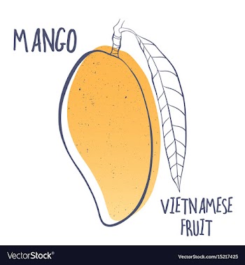 Mango icon of vietnamese fruit vector image