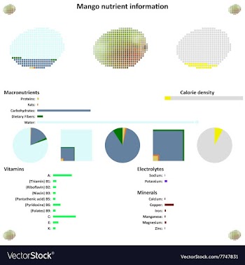 Mango nutrient information vector image