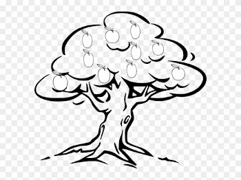 Mango Tree Clipart Black And White - Outline Of A Tree