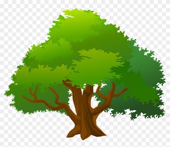 Mango Tree Clipart - Mango Tree Clipart