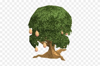 Mango Tree Fairy Tale - Mango Tree Transparent