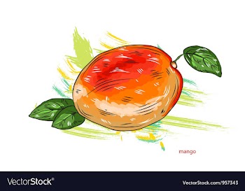 Mango with colorful splashes vector image