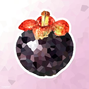 Mangosteen crystallized style sticker illustration | Free  illustration - 2341140